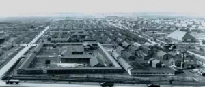 �Ŷ�����ʯ�ʹ��ս�γ��������ӵ���һ����Ⱥ��