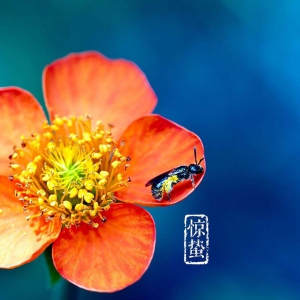 ��ʮ�Ľ��� �C ���ݣ�3��5-7�գ�