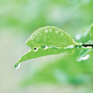 ��ʮ�Ľ��� �C ���꣨4��19-21�գ�