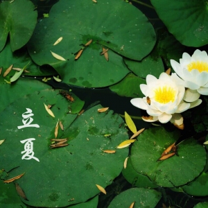 ��ʮ�Ľ��� �C ���ģ�5��5-7�գ�