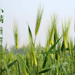 ��ʮ�Ľ��� �C С����5��20-22�գ�