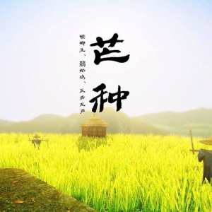 ��ʮ�Ľ��� �C â�֣�6��5-7�գ�