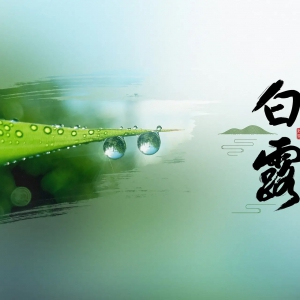 ��ʮ�Ľ��� �C ��¶��9��7-9�գ�