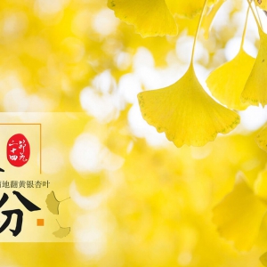 ��ʮ�Ľ��� �C ��֣�9��22-24�գ�