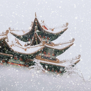 ��ʮ�Ľ��� �C ��ѩ��12��6-8�գ�