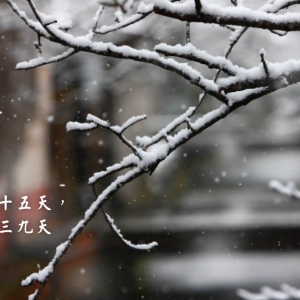 ��ʮ�Ľ��� �C С����1��5-7�գ�