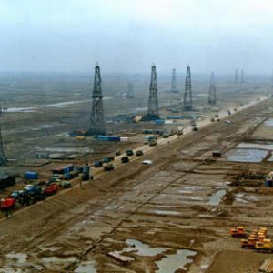 �Ŷ�����ʯ�ʹ��ս�γ��������ӵ���һ����Ⱥ��