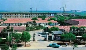 ʯ�ͼ���|���ǵõ���ġ��Ŷ���������