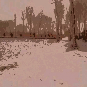 ����΢С˵�������꡷