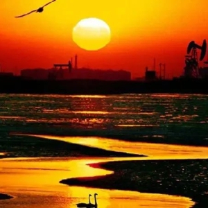 ��ס���ح��Ӫ��ׯ���䡪�����Ŷ��������뱱����